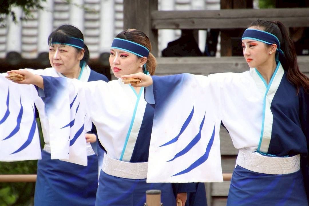 よさこい踊り「さい」のチーム写真